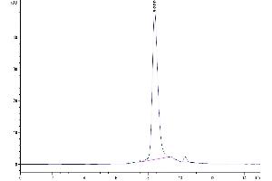 Size-exclusion chromatography-High Pressure Liquid Chromatography (SEC-HPLC) image for HERV-H LTR-Associating 2 (HHLA2) (AA 23-344) protein (His tag) (ABIN7273956)