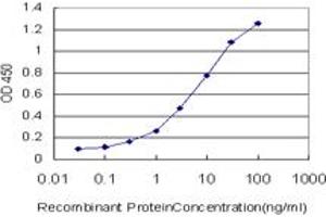 Detection limit for recombinant GST tagged SLC29A4 is approximately 0. (SLC29A4 antibody  (AA 283-345))