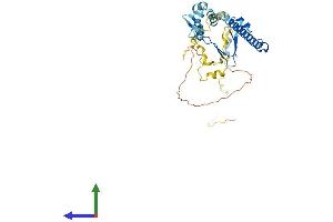 AlphaFold protein structure predicition of Human Recombinant E2F5 Protein, UniprotID Q15329 (E2F5 Protein (E2F5) (AA 1-346) (His tag))