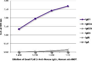 ELISA plate was coated with purified mouse IgG1, IgG2a, IgG2b, IgG3, IgM, and IgA. (Goat anti-Mouse IgG1 Antibody (Biotin) - Preadsorbed)