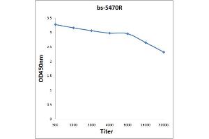 Antigen: 0. (MDM2 antibody  (pThr218))