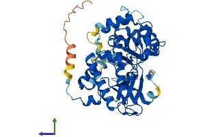 AlphaFold protein structure predicition of Mouse Recombinant Smyd5 Protein, UniprotID Q3TYX3 (SMYD5 Protein (AA 1-416) (His tag))