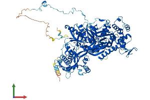 AlphaFold protein structure predicition of Human Recombinant EFTUD2 Protein, UniprotID Q15029 (EFTUD2 Protein (AA 1-972) (His tag))