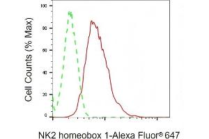 Flow cytometric analysis of NK2 homeobox 1 expression in HAP-1 cells using NK2 homeobox 1 antibody (ABIN7799607), 1:2,000). (Recombinant NKX2-1 antibody)