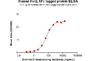 ELISA plate pre-coated by 1 μg/mL (100 μL/well) Human Her2 Protein, hFc Tag (ABIN7092817, ABIN7272442 and ABIN7272443) can bind Anti-Her2 (trastuzumab biosimilar) mAb (ABIN7093066 and ABIN7272596) in a linear range of 3.