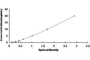 TSH receptor ELISA Kit