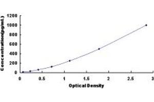 Typical standard curve (CD25 ELISA Kit)