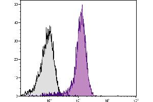 BALB/c mouse splenocytes were stained with Rat Anti-Mouse CD31-PE/CY7. (CD31 antibody  (PE-Cy7))