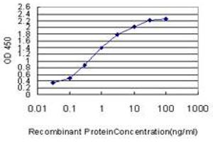 Detection limit for recombinant GST tagged IDH2 is approximately 0. (IDH2 antibody  (AA 354-451))