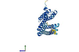 AlphaFold protein structure predicition of Human Recombinant CDIPT Protein, UniprotID O14735