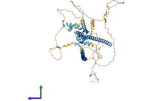 Protein Structure (PS) image for Runt-Related Transcription Factor 1, Translocated To, 1 (Cyclin D-Related) (RUNX1T1) (AA 1-604) protein (His tag) (ABIN7554629)