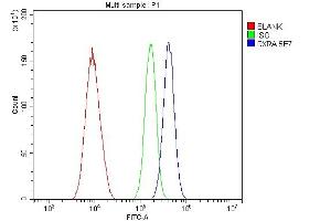 Flow Cytometry analysis of A549 cells using anti- Retinoid X Receptor alpha/RXRA antibody (ABIN7600721). (Retinoid X Receptor alpha antibody  (AA 226-462))