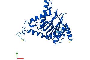 AlphaFold protein structure predicition of Human Recombinant PSMA6 Protein, UniprotID P60900 (PSMA6 Protein (AA 1-246) (His tag))