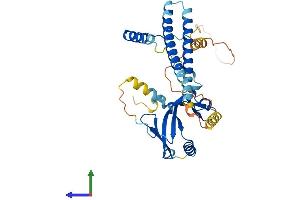 AlphaFold protein structure predicition of Human Recombinant TAF7 Protein, UniprotID Q15545 (TAF7 Protein (AA 1-349) (His tag))