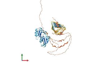AlphaFold protein structure predicition of Human Recombinant DAZ4 Protein, UniprotID Q86SG3 (DAZ4 Protein (AA 1-579) (His tag))