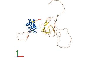 AlphaFold protein structure predicition of Human Recombinant ZBP1 Protein, UniprotID Q9H171