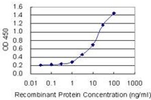 Detection limit for recombinant GST tagged UBA1 is 0. (UBA1 antibody  (AA 1-1058))