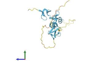 AlphaFold protein structure predicition of Mouse Recombinant Csrp2 Protein, UniprotID P97314
