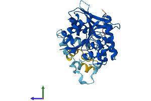 Protein Structure (PS) image for Abhydrolase Domain Containing 4 (ABHD4) (AA 1-342) protein (His tag) (ABIN7559850)