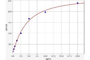 Typical standard curve (TMPRSS15 ELISA Kit)