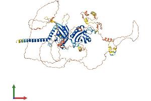Protein Structure (PS) image for Hypoxia Inducible Factor 1, alpha Subunit (Basic Helix-Loop-Helix Transcription Factor) (HIF1A) (AA 1-836) protein (His tag) (ABIN7563911)