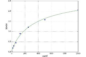 Chemokine (C-C Motif) Receptor 2 (CCR2) ELISA Kit