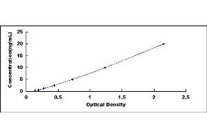 Typical standard curve (CA6 ELISA Kit)