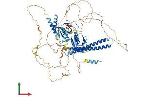 Protein Structure (PS) image for Actin Filament Associated Protein 1 (AFAP1) (AA 1-730) protein (His tag) (ABIN7551931)