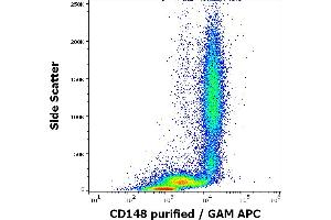 Flow cytometry surface staining pattern of human peripheral whole blood stained using anti-human CD148 (MEM-CD148/05) purified antibody (concentration in sample 2 μg/mL, GAM APC).