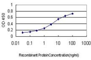 Detection limit for recombinant GST tagged PPBP is approximately 0. (CXCL7 antibody  (AA 37-128))