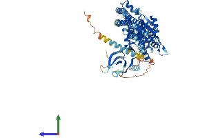 AlphaFold protein structure predicition of Human Recombinant CHUK Protein, UniprotID O15111 (IKK alpha Protein (AA 1-745) (His tag))