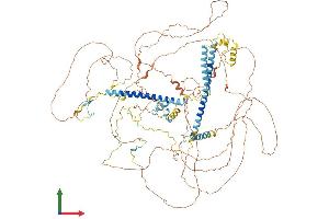 AlphaFold protein structure predicition of Mouse Recombinant Kansl1 Protein, UniprotID Q80TG1 (KANSL1 Protein (AA 1-1036) (His tag))