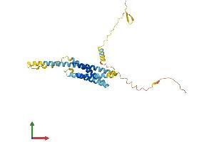 AlphaFold protein structure predicition of Human Recombinant TMEM176B Protein, UniprotID Q3YBM2 (TMEM176B Protein (AA 1-270) (His tag))