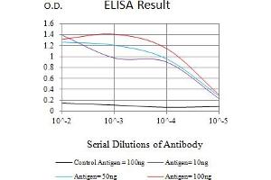 Black line: Control Antigen (100 ng),Purple line: Antigen (10 ng), Blue line: Antigen (50 ng), Red line:Antigen (100 ng) (Rubicon antibody  (AA 859-972))