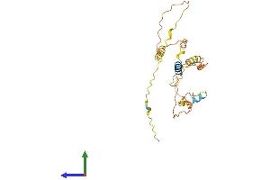 AlphaFold protein structure predicition of Human Recombinant FAM120AOS Protein, UniprotID Q5T036 (FAM120AOS Protein (AA 1-256) (His tag))