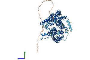 AlphaFold protein structure predicition of Human Recombinant SLC33A1 Protein, UniprotID O00400 (SLC33A1 Protein (AA 1-549) (His tag))