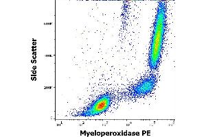 Flow cytometry intracellular staining pattern of human peripheral whole blood stained using anti-human Myeloperoxidase (MPO421-8B2) PE antibody (10 μL reagent / 100 μL of peripheral whole blood).
