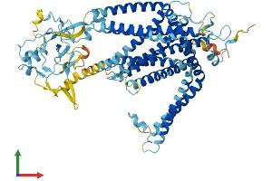 AlphaFold protein structure predicition of Mouse Recombinant Slc44a2 Protein, UniprotID Q8BY89