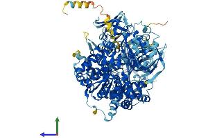 AlphaFold protein structure predicition of Human Recombinant DNA2 Protein, UniprotID P51530 (DNA2 Protein (AA 1-1060) (His tag))