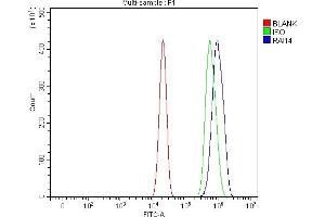 Flow Cytometry analysis of U2OS cells using anti-RAI14 antibody (ABIN7601980). (RAI14 antibody  (AA 53-680))
