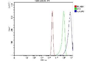 Flow Cytometry analysis of K562 cells using anti-Caspase-8/CASP8 antibody (ABIN7600658). (Caspase 8 antibody  (AA 217-479))