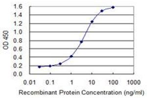 Detection limit for recombinant GST tagged LSP1 is 0. (LSP1 antibody  (AA 240-338))