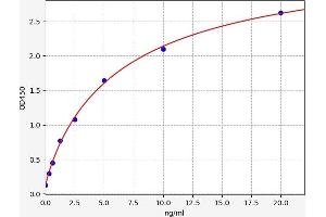 Typical standard curve (P2RX7 ELISA Kit)