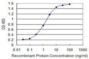Detection limit for recombinant GST tagged GLS is 0. (Glutaminase antibody  (AA 580-669))