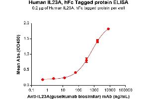 Interleukin 23, alpha subunit p19 (IL23A) (AA 20-189) protein (Fc Tag)