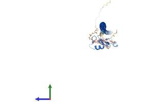 AlphaFold protein structure predicition of Human Recombinant CCNB1IP1 Protein, UniprotID Q9NPC3 (CCNB1IP1 Protein (AA 1-277) (His tag))
