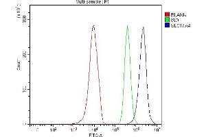 Flow Cytometry analysis of 293T cells using anti-SLC17A4 antibody (ABIN7599446).