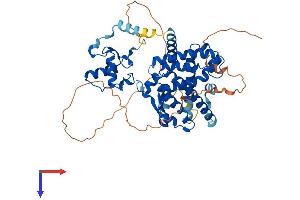 PPARG Protein (AA 1-505) (His tag)