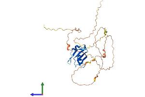 Protein Structure (PS) image for Deleted in Azoospermia-Like (DAZL) (AA 1-298) protein (His tag) (ABIN7557835)
