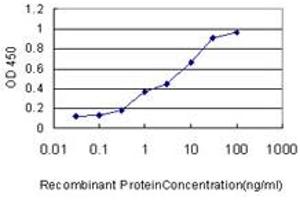 Detection limit for recombinant GST tagged LSM3 is approximately 1ng/ml as a capture antibody. (LSM3 antibody  (AA 1-102))